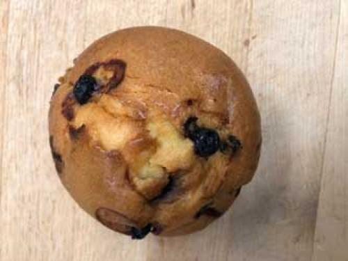 Blueberry Muffin